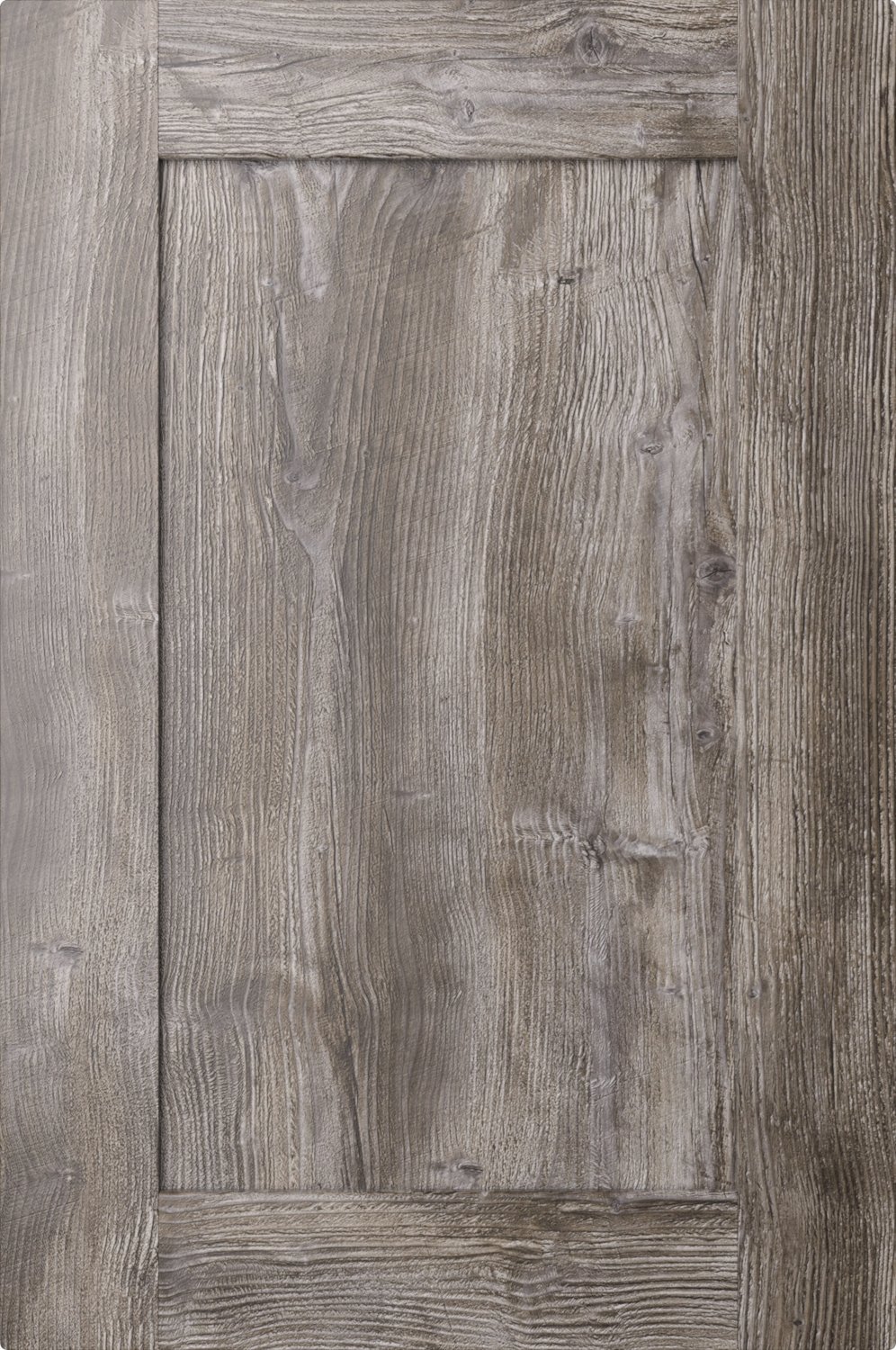 Сосна Пандероса 2057